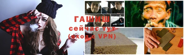 сатива Козловка