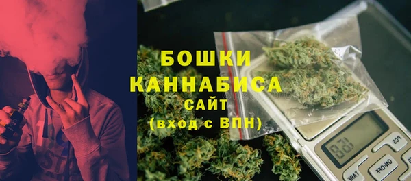 сатива Козловка