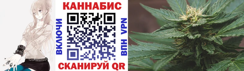 Марихуана OG Kush  Купить где  Бежецк 